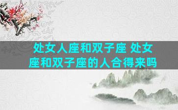 处女人座和双子座 处女座和双子座的人合得来吗